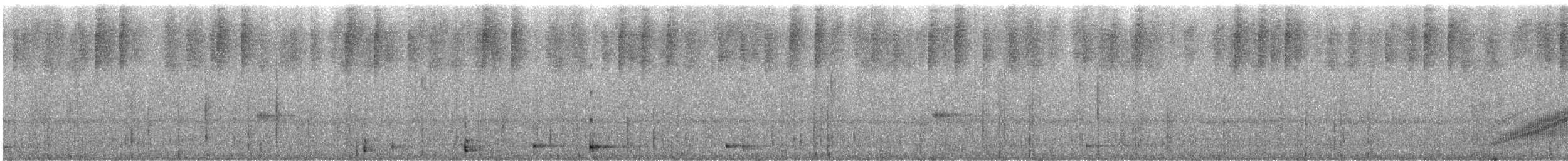 Swallow-tailed Nightjar - ML244266