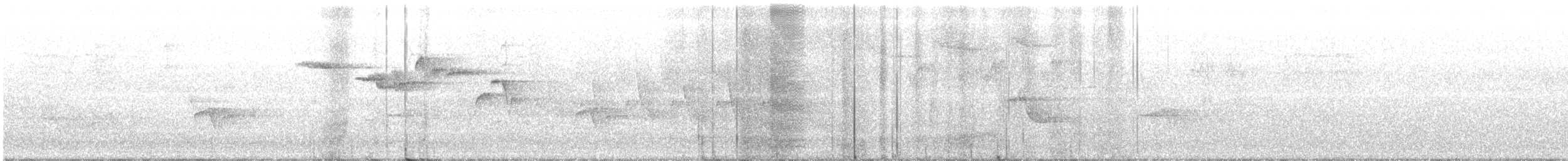 Brown Creeper - ML244266801