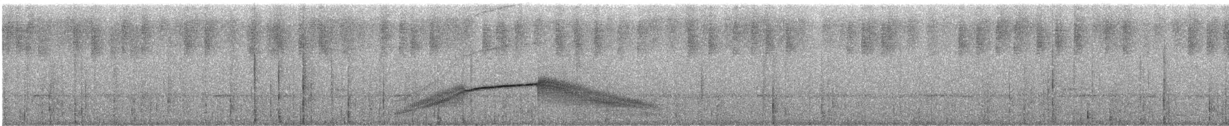 Swallow-tailed Nightjar - ML244268