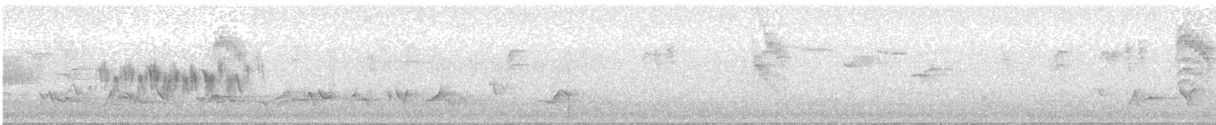Black-throated Gray Warbler - ML244273661