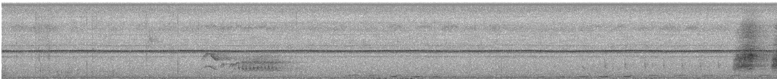 Сойка звичайна (підвид leucotis/oatesi) - ML244290371