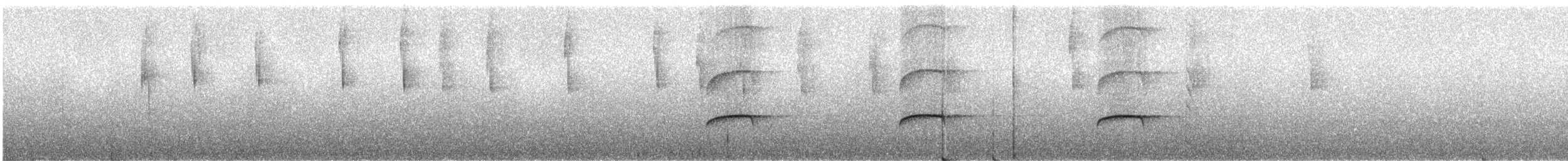 Sharp-shinned Hawk (Plain-breasted) - ML244295