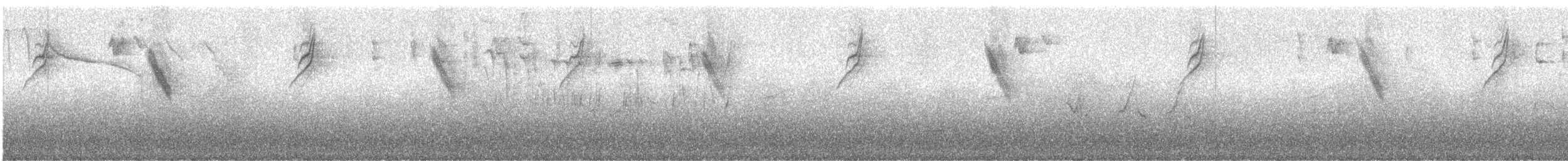 Gray-hooded Bush Tanager (rubrirostris) - ML244301