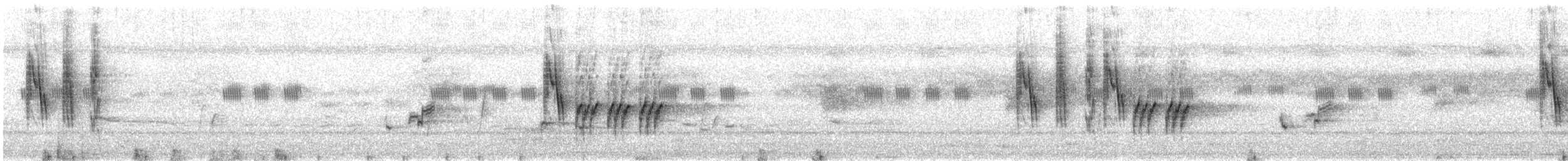 ハイムネハウチワドリ - ML244305411