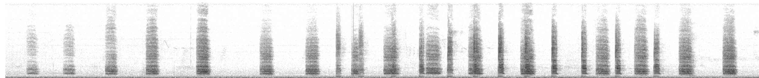 Egyptian Goose - ML244310931