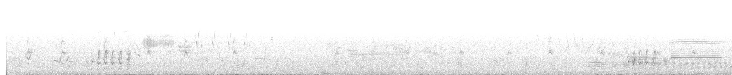 Прерийный кроншнеп - ML244328821