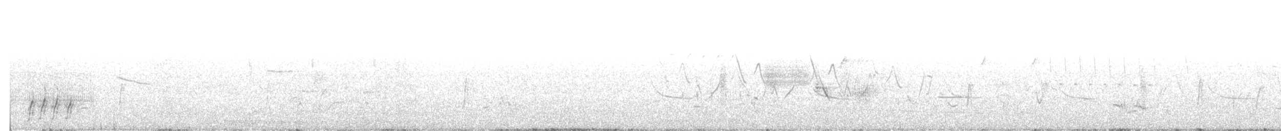 Uzun Kuyruklu Düdükçün - ML244328841