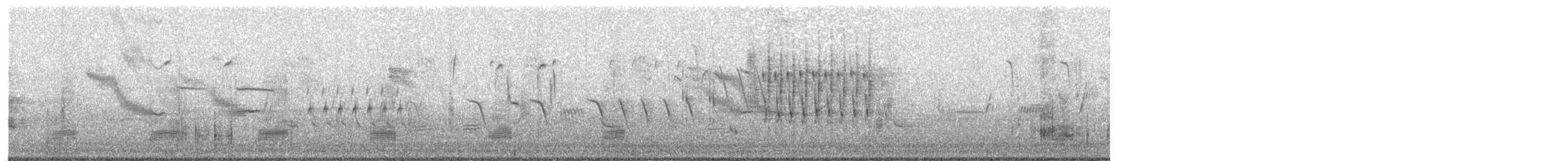 Troglodyte des marais - ML244342781