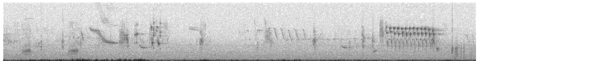 Troglodyte des marais - ML244342801