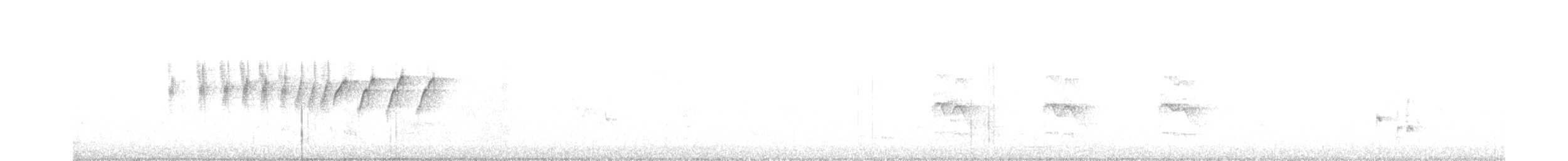 Épervier shikra - ML244347951