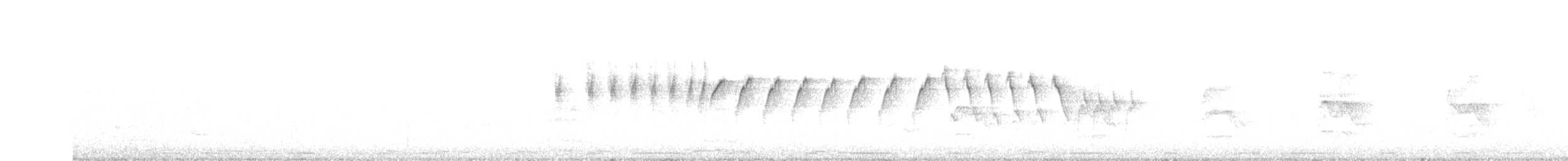 Épervier shikra - ML244347961