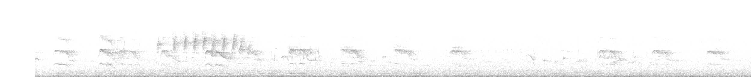 Épervier shikra - ML244347971