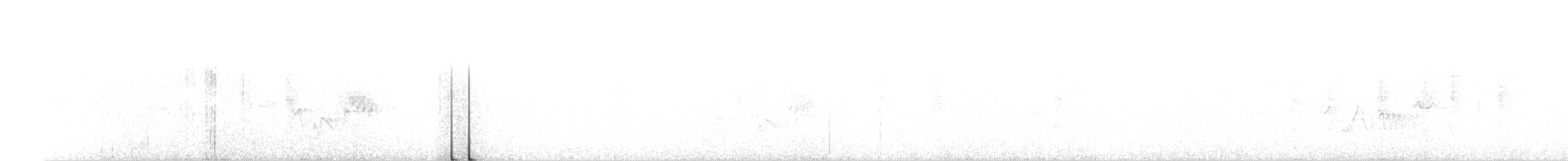 Paruline à ailes blanches - ML244356251