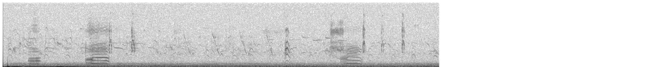 Grande Aigrette (egretta) - ML244364961