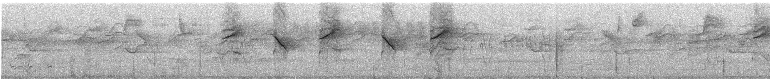 kullkronetanagar (atropileus) - ML244368