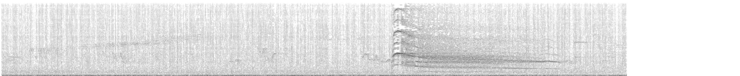 Краснохвостый канюк (borealis) - ML244368891
