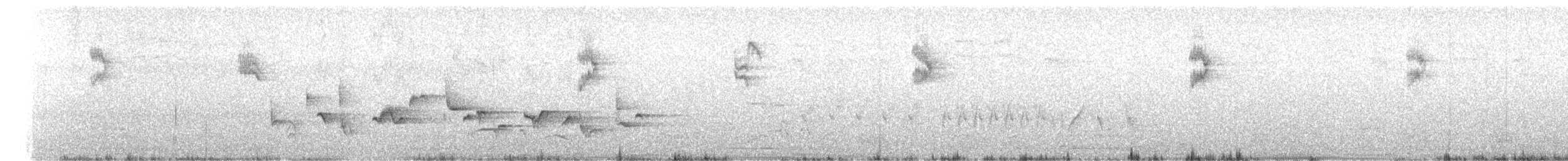 Spotted Flycatcher - ML244371481