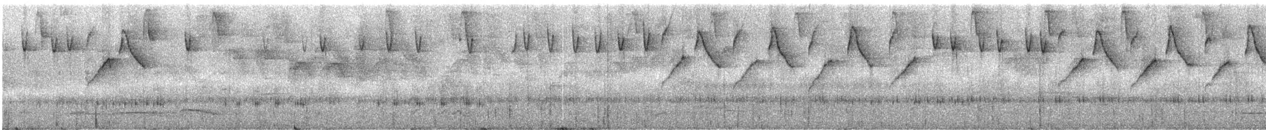 Kappenspitzschnabel [atrocyaneum-Gruppe] - ML244382