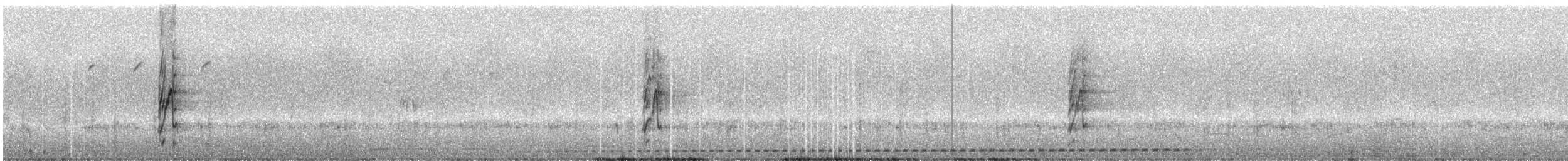 Чернокрылый лорито - ML244407