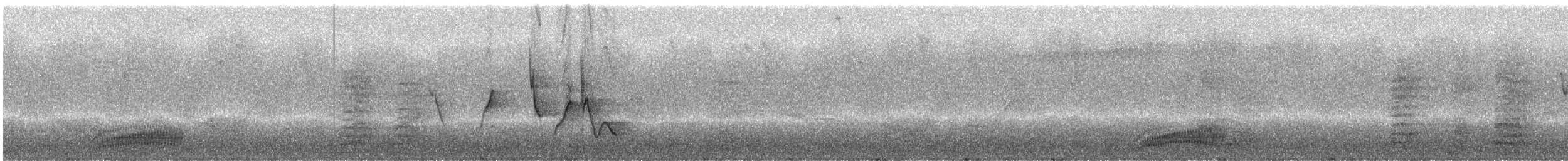 Élénie obscure - ML244414