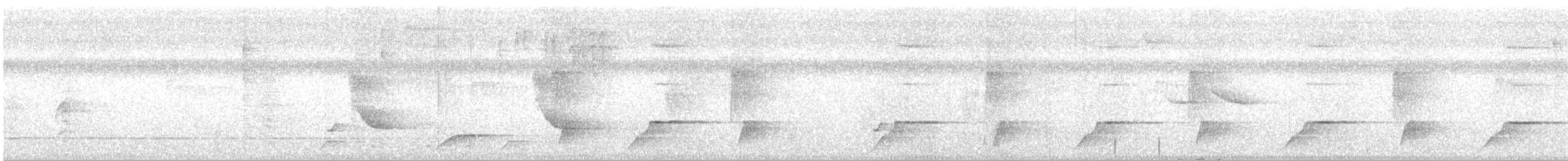 Quiscale chanteur - ML244418041