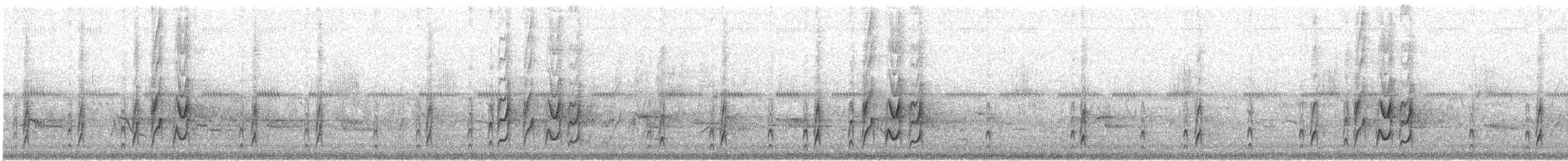 Schmalschnabel-Königstyrann - ML244420331