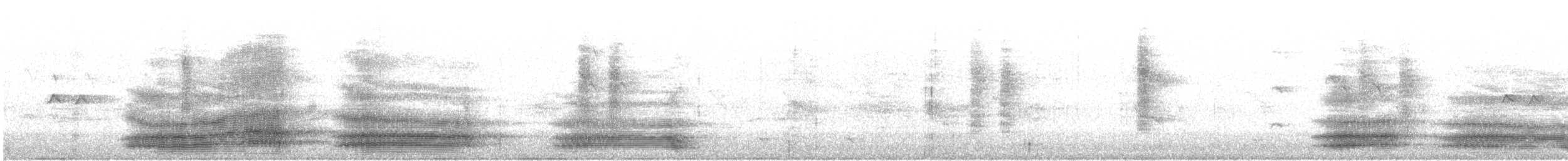Тасманийский ворон - ML244427601