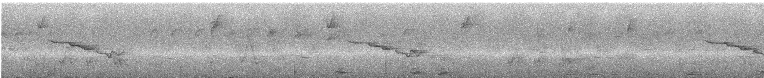 Chestnut-bellied Mountain Tanager - ML244435