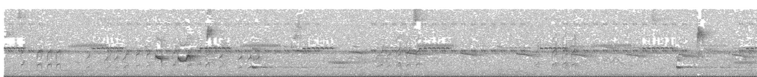 Rostbauch-Ameisenfänger - ML244452191