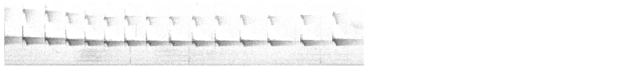 Échelet leucophée (groupe leucophaea) - ML244488471
