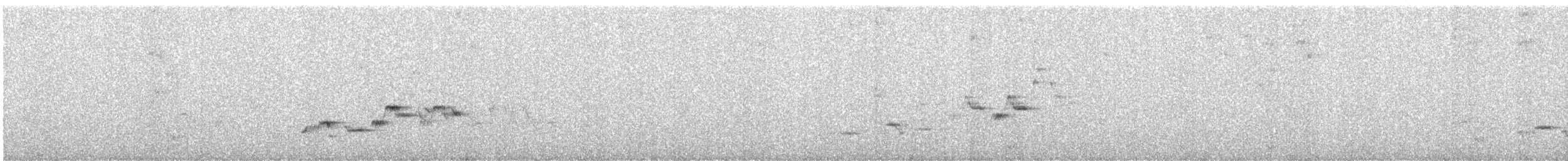 Дрізд-короткодзьоб Cвенсона - ML244493421