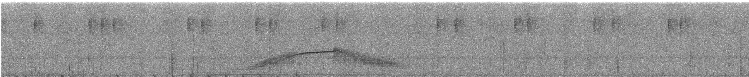 Swallow-tailed Nightjar - ML244526