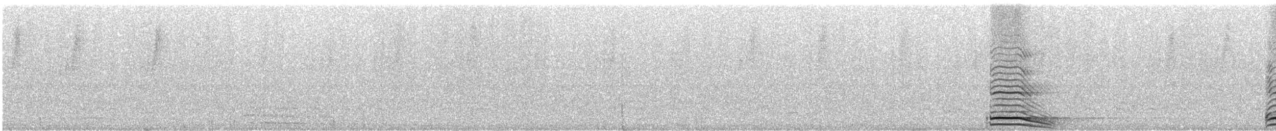 Collared Forest-Falcon - ML244533