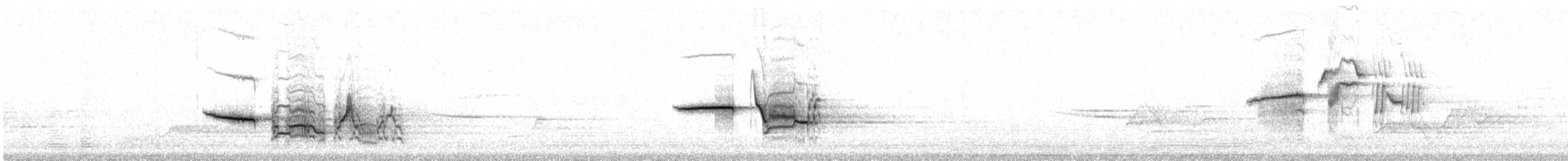 Дрізд-короткодзьоб плямистоволий - ML244536281