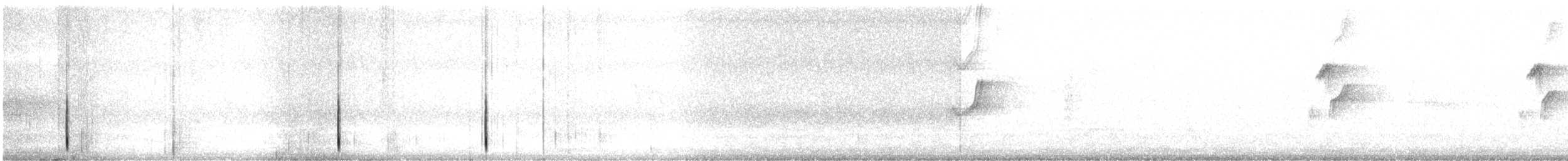 Western Flycatcher (Pacific-slope) - ML244545821