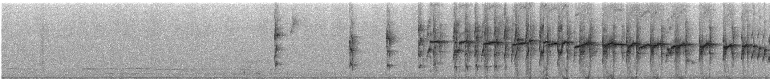 Olivrücken-Baumschlüpfer (antisiensis/palamblae) - ML244546