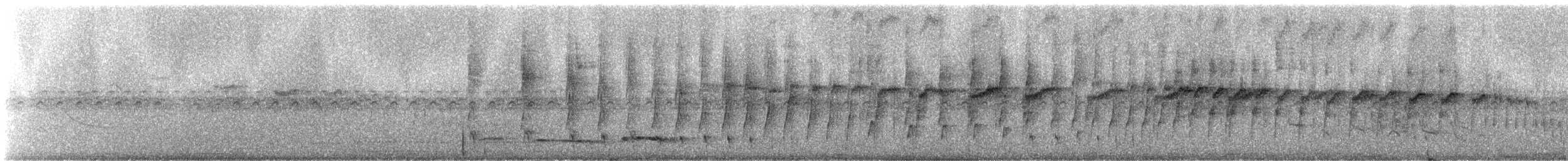 Olivrücken-Baumschlüpfer (antisiensis/palamblae) - ML244564