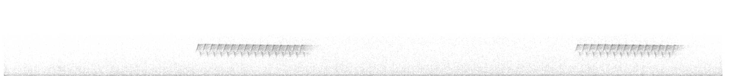 Kara Gözlü Junko (hyemalis/carolinensis) - ML244569551