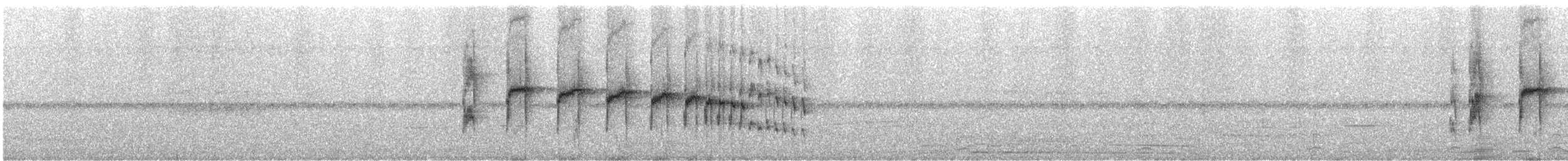 Olivrücken-Baumschlüpfer (antisiensis/palamblae) - ML244579