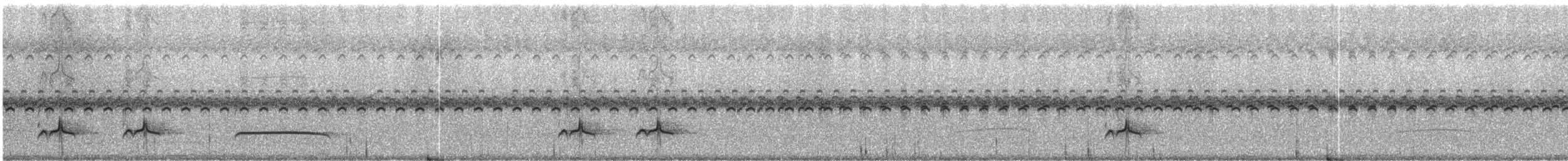 Boz Başlı Sinekkapan (nigriceps/atriceps) - ML244595