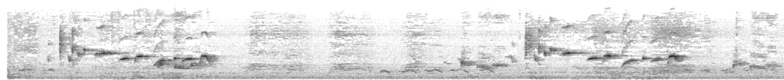 Spot-breasted Fantail - ML244642141