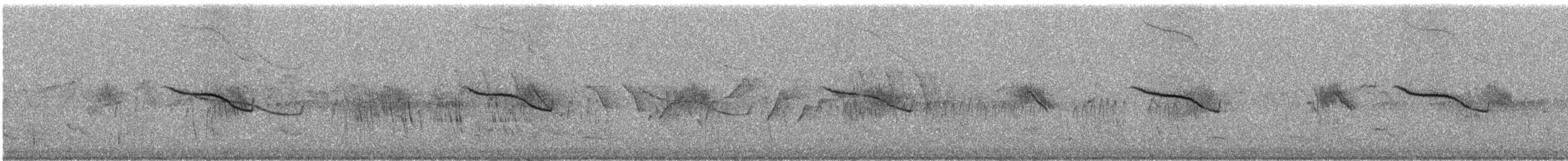 Breitspiegel-Nachtschwalbe (ruficervix) - ML244644