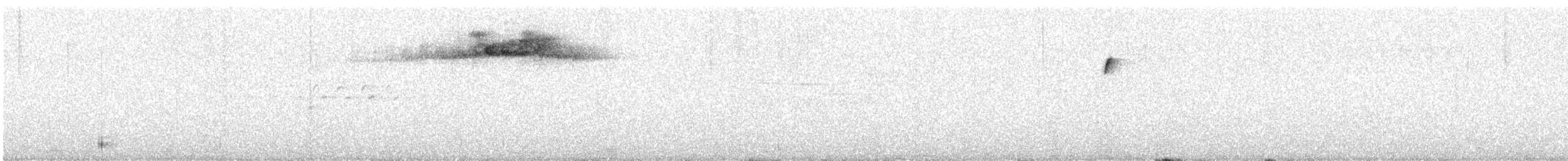 lesňáček černohlavý - ML244648051