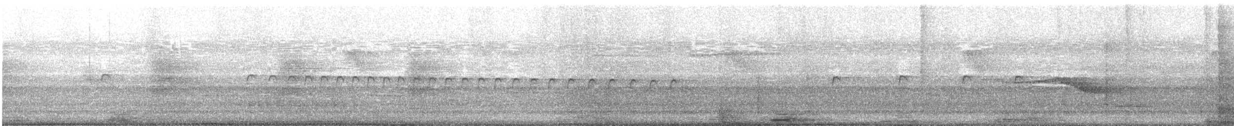 sundaugle - ML244669061