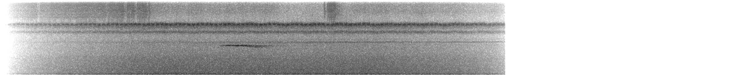 Tinamou de Berlepsch - ML244670