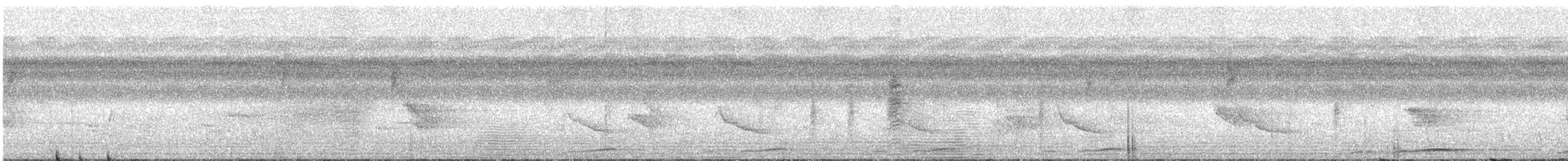 Weißhalsmonarch - ML244672221