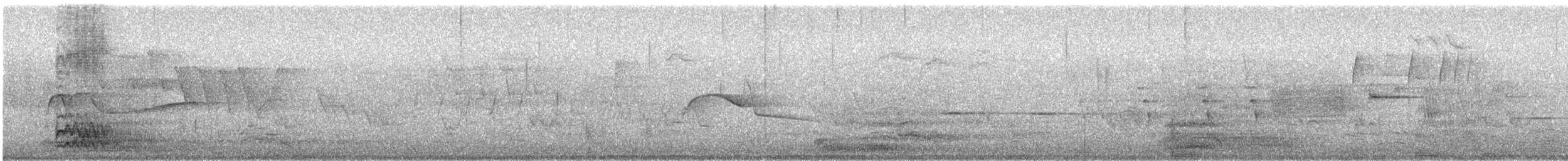 Red-bellied Woodpecker - ML244716211