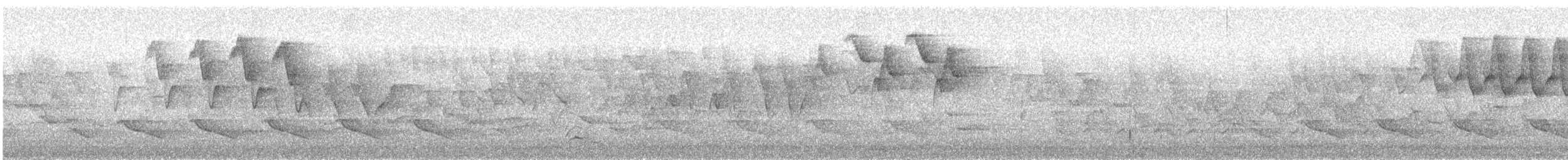 American Redstart - ML244717881