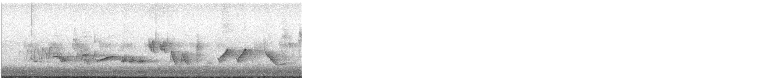 Orchard Oriole - ML244718411