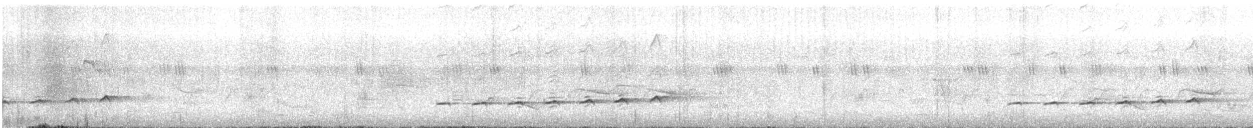 Çatal Kuyruklu Drongo Guguğu - ML244750021